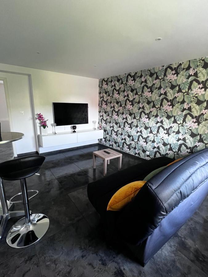 Superbe Appartement Danjoutin Экстерьер фото